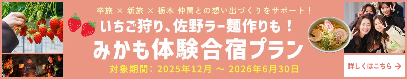 いちご狩り、佐野ラー麺作り＆みかも体験合宿プラン販売中